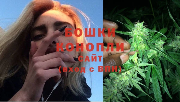 дживик Беломорск